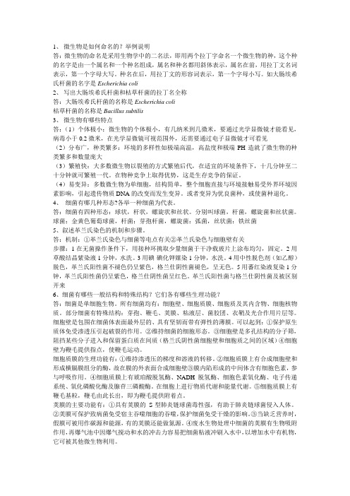 微生物是如何命名的？举例说明