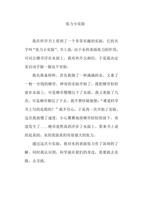 张力小实验