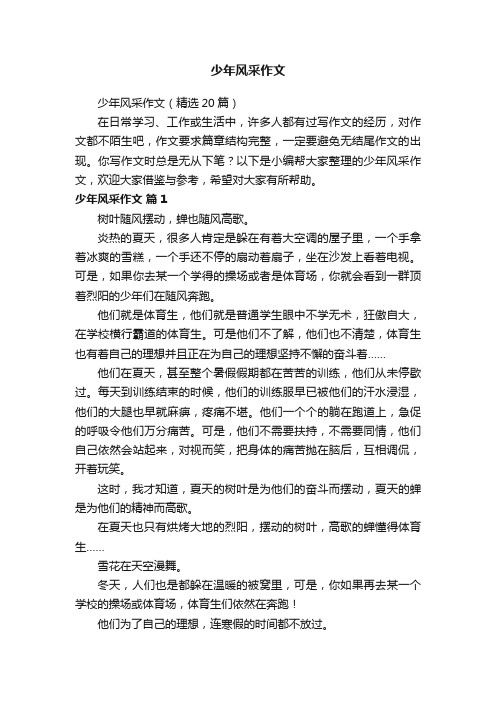 少年风采作文