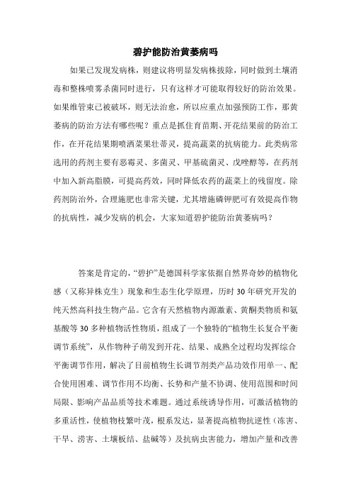 碧护能防治黄萎病吗