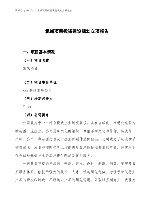 氯碱项目投资建设规划立项报告