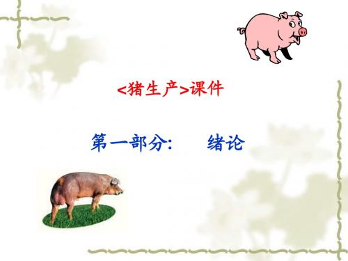 猪生产绪论