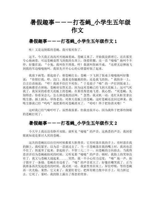暑假趣事―――打苍蝇小学生五年级作文