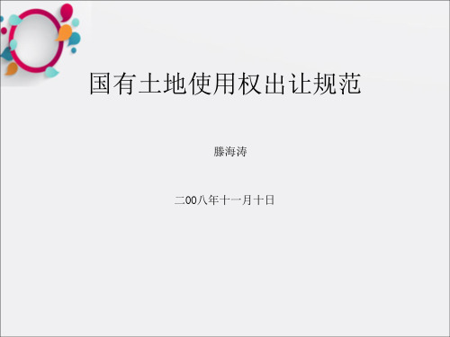 国有土地使用权出让规范