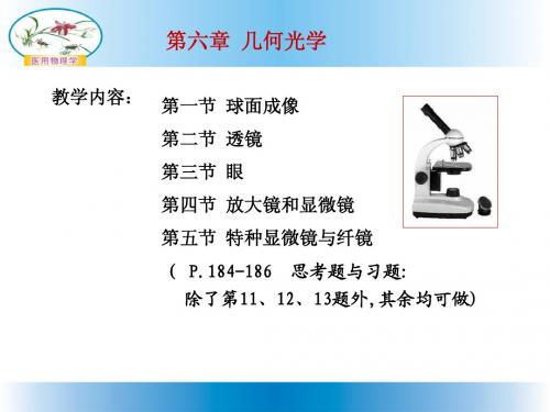 第十一章几何光学ppt - 加入收藏