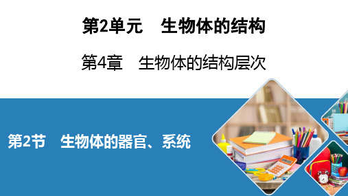 北师大生物七年级上册生物体的器官、系统