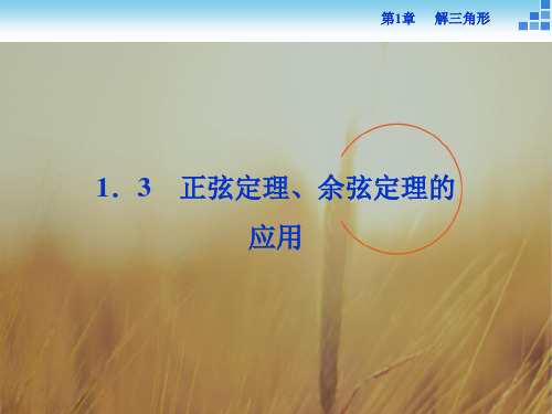 最新-高中数学必修5 13 正弦定理、余弦定理的应用 课
