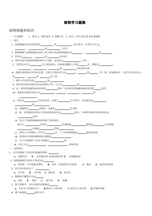 植物形态解剖学习题