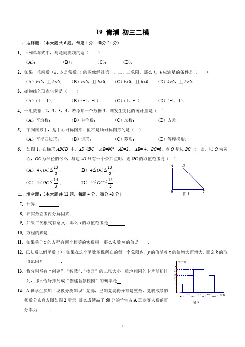 2019年青浦初三数学二模含答案