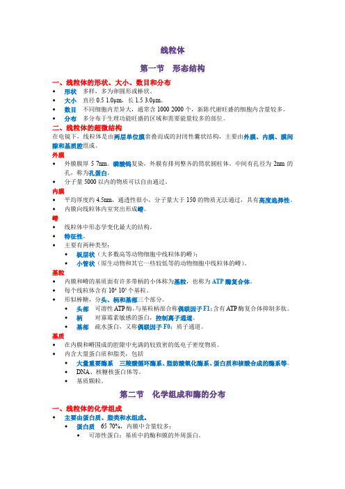 线粒体