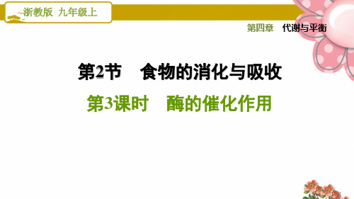 浙教版九年级科学上册4.2.3 酶的催化作用ppt课件