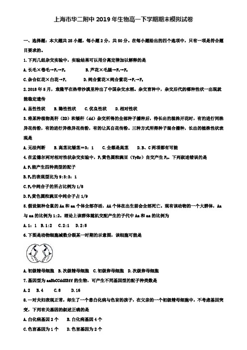 上海市华二附中2019年生物高一下学期期末模拟试卷+(7套模拟试卷)