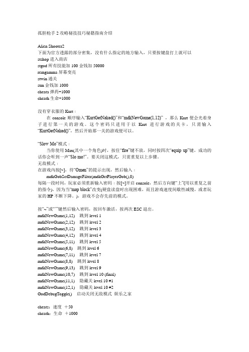 孤胆枪手2秘籍