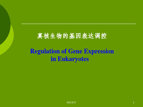 真核生物的基因表达与调控ppt课件