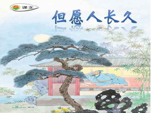 (苏教版)四年级语文上册课件 但愿人长久