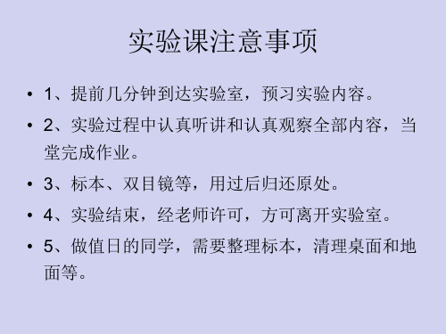 实验1飞虱叶蝉蓟马类害虫的识别