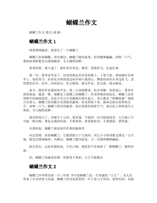 蝴蝶兰作文