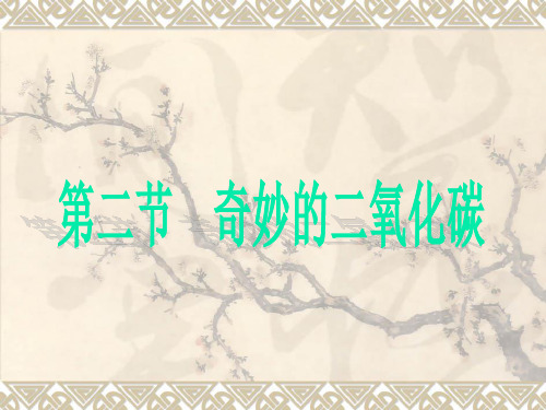奇妙的二氧化碳1