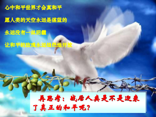 心中和平世界才会真和平PPT精品文档31页