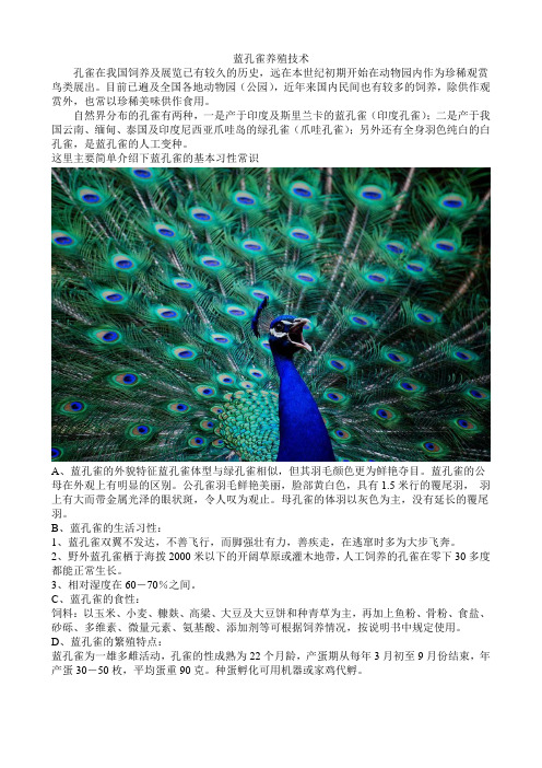 蓝孔雀养殖技术