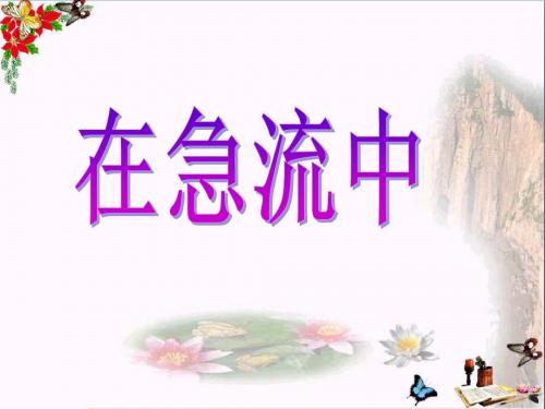 六年级语文上册第11课在急流中PPT课件4西师大版