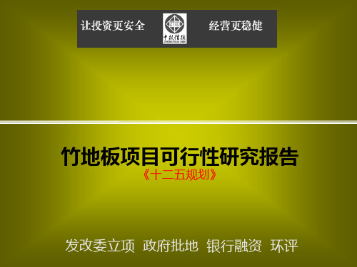 竹地板项目可行性研究报告