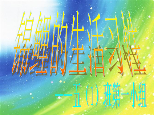 锦鲤的生活习性
