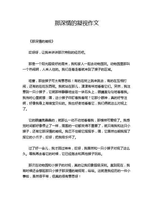 那深情的凝视作文