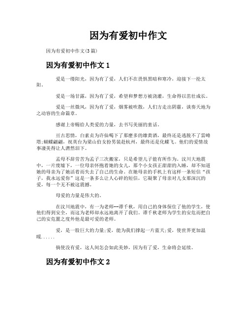 因为有爱初中作文