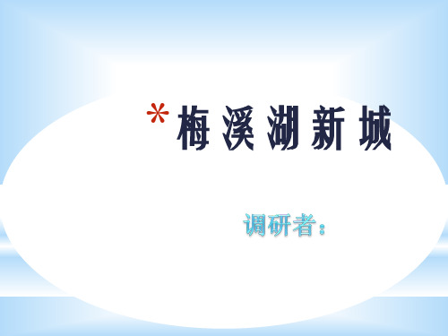 梅溪湖新城定稿