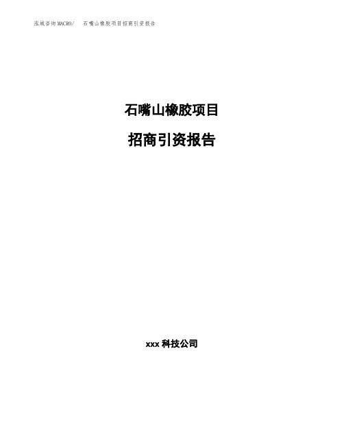 石嘴山橡胶项目招商引资报告