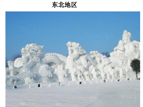第五章_中国四大地理区域划分