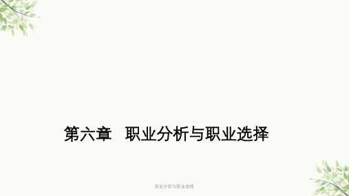 职业分析与职业选择课件