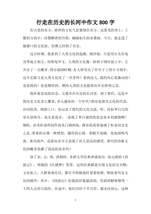 行走在历史的长河中作文800字(精编版)