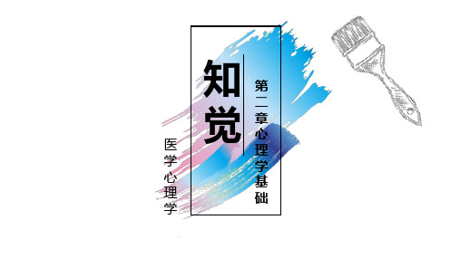 心理学基础-知觉