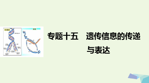 高考生物二轮复习专题十五遗传信息的传递与表达课件