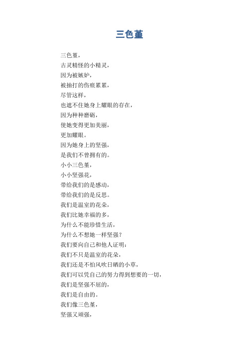 中学生满分作文：三色堇