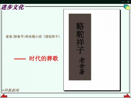 在烈日和暴雨下1