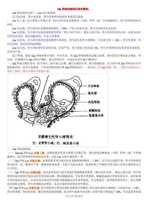 IGA肾病的病理分型及治疗