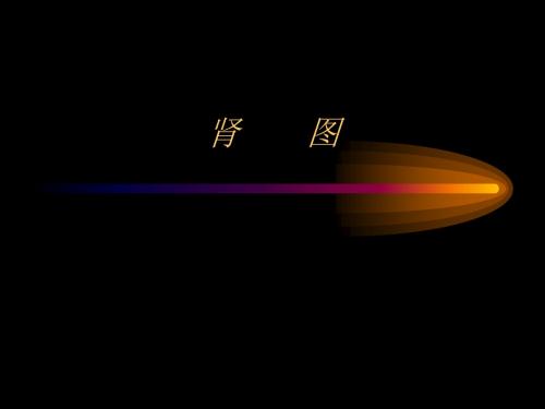 核医学——泌尿系统影像讲解