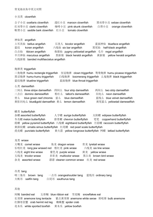常见海水鱼中英文对照