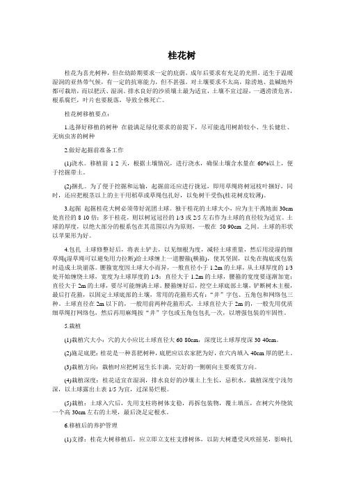 桂花树习性
