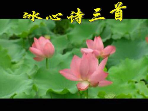 冰心诗三首