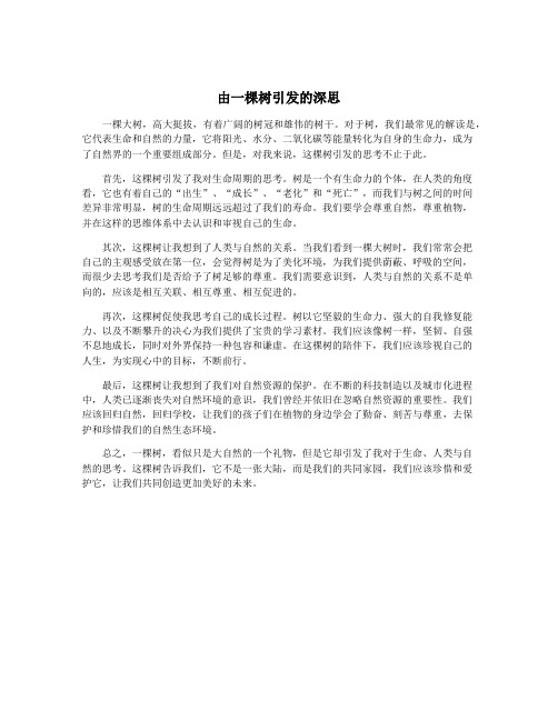由一棵树引发的深思
