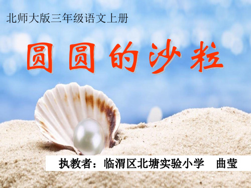 部编三年级上语文《②圆圆的沙粒》曲莹PPT课件 一等奖新名师优质课获奖比赛公开北师大