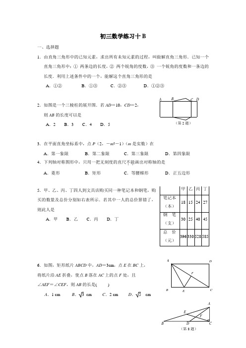 江苏省南京市溧水区孔镇中学16—17学年下学期九年级春季班数学练习题10B(无答案)