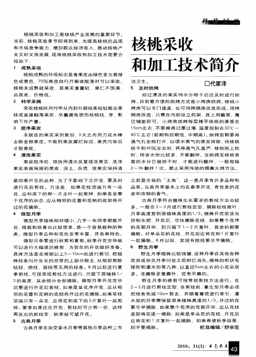 核桃采收和加工技术简介