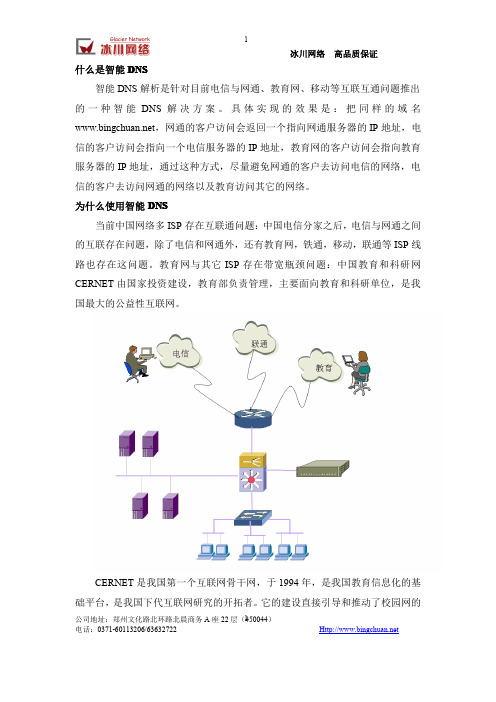 智能DNS_简介