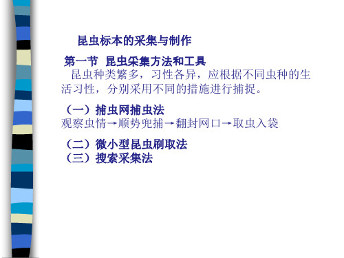 昆虫标本采集与制作