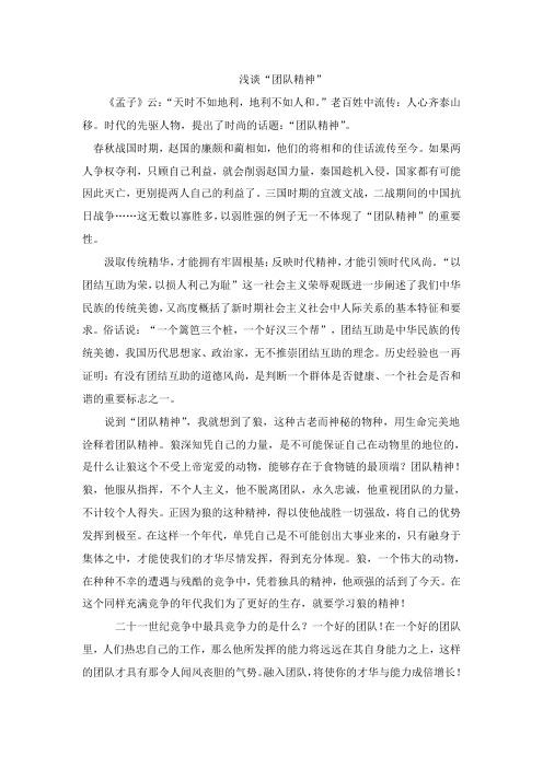 团队精神